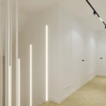 webp_n24